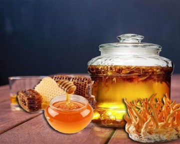 Công dụng của đông trùng hạ thảo ngâm mật ong và cách sử dụng hiệu quả