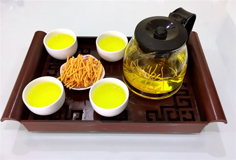 Cách dùng đông trùng hạ thảo hãm trà tốt cho sức khỏe