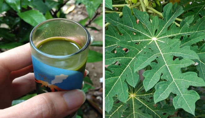 bài thuốc chữa ung thư dạ dày