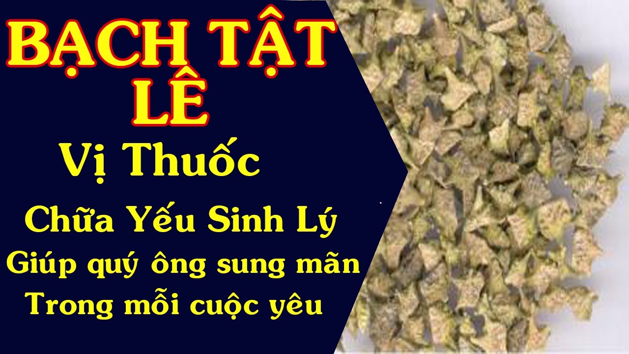 Bạch tật lê giúp tăng cường nội tiết tố Testoteron một cách tự nhiên