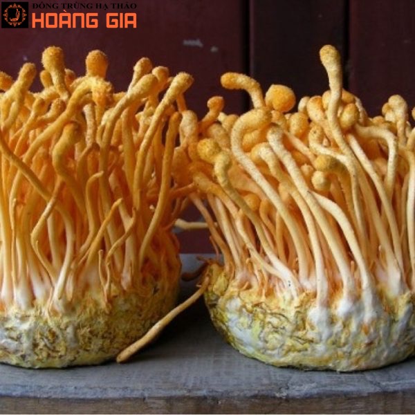 Sản phẩm của công ty TNHH ĐTHT Hoàng Gia Sản phẩm của công ty TNHH ĐTHT Hoàng Gia