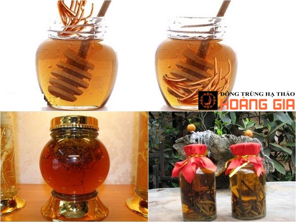 Cách ngân đông trùng hạ thảo với mật ong vô cùng đơn giản