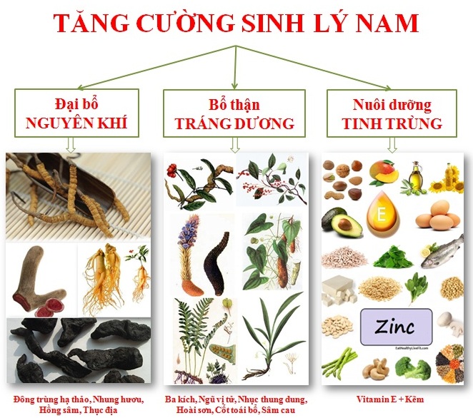 Phương pháp dân gian sử dụng dược liệu hoàn toàn từ tự nhiên Phương pháp dân gian sử dụng dược liệu hoàn toàn từ tự nhiên