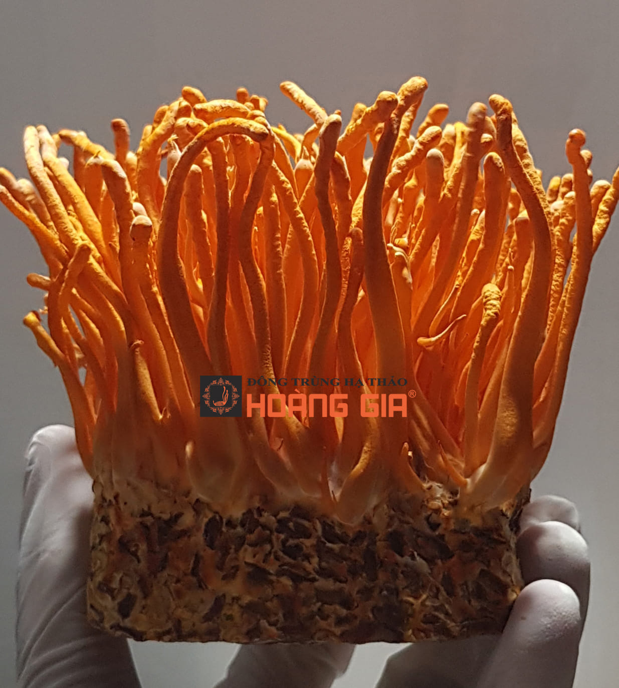 phương pháp chữa yếu sinh lý phương pháp chữa yếu sinh lý