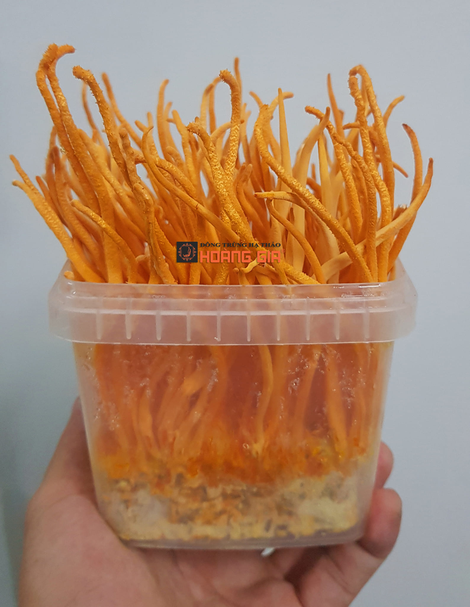 chữa yếu sinh lý cho nam giới