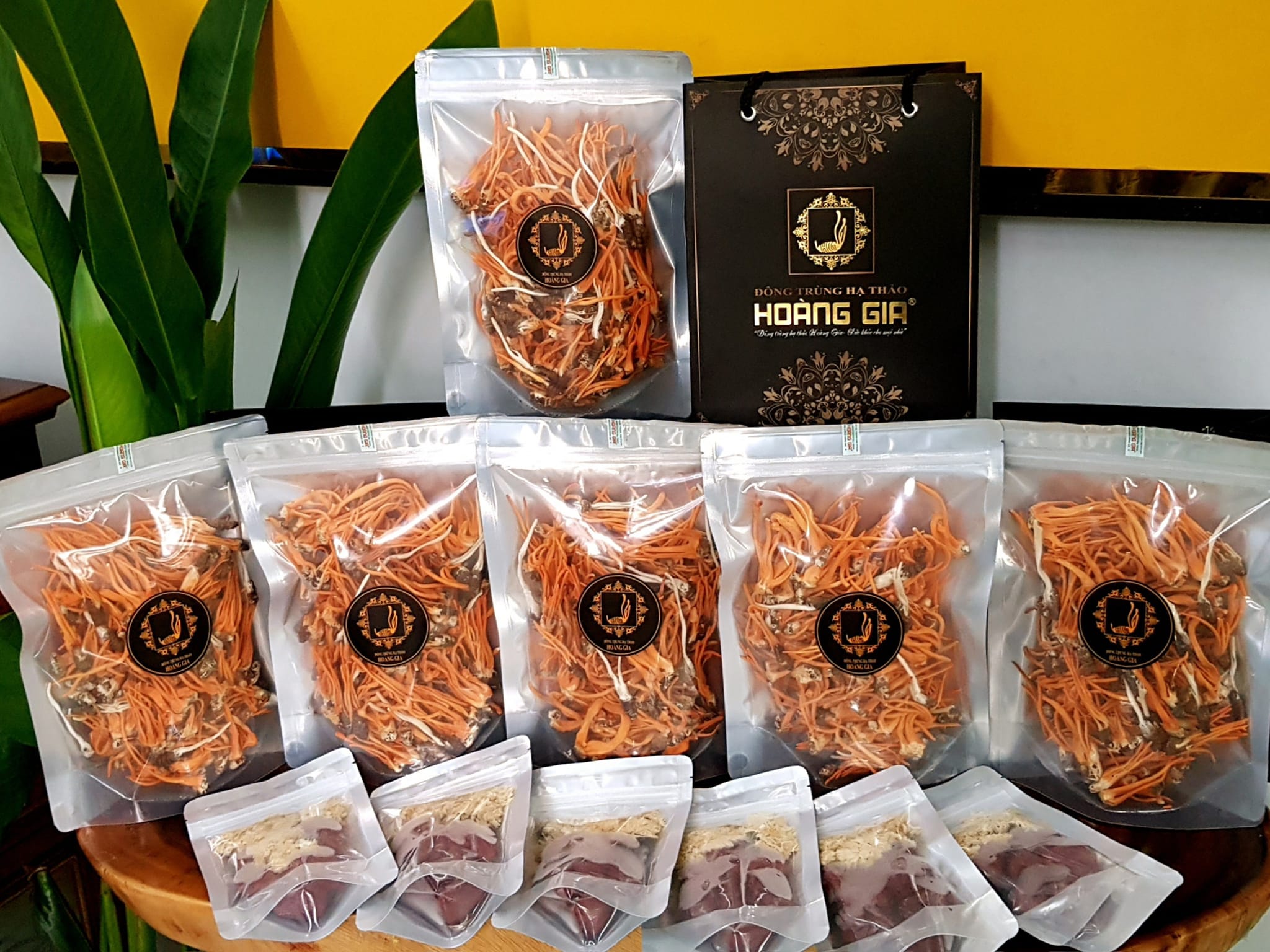 chữa yếu sinh lý cho nam giới