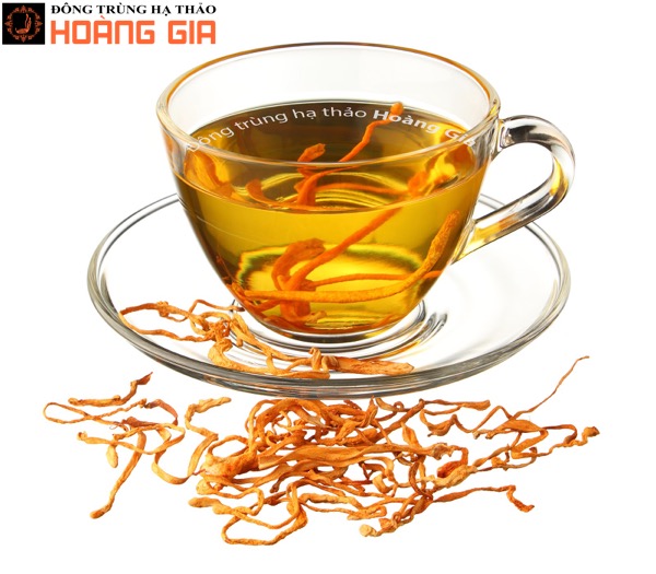 Sử dụng đông trùng hạ thảo để hãm trà
