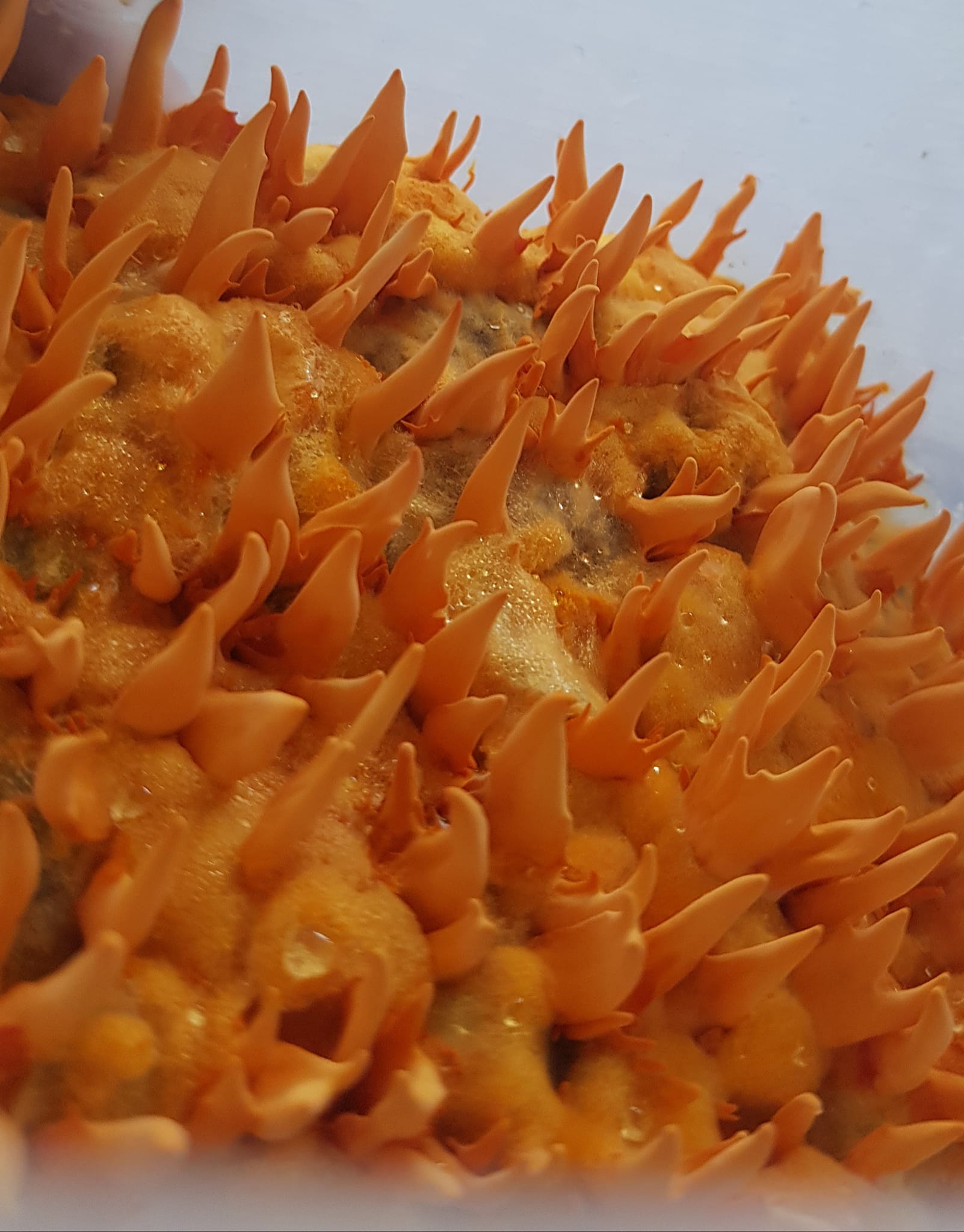 làm sao để chữa ung thư phổi