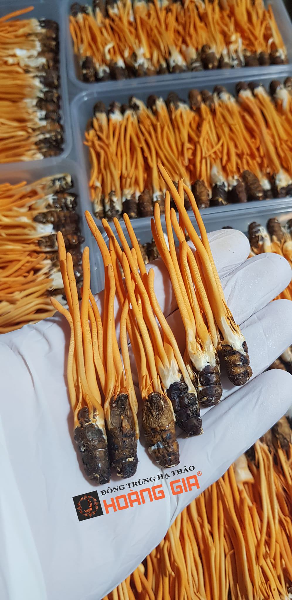 điều trị ung thư phổi di căn xương điều trị ung thư phổi di căn xương