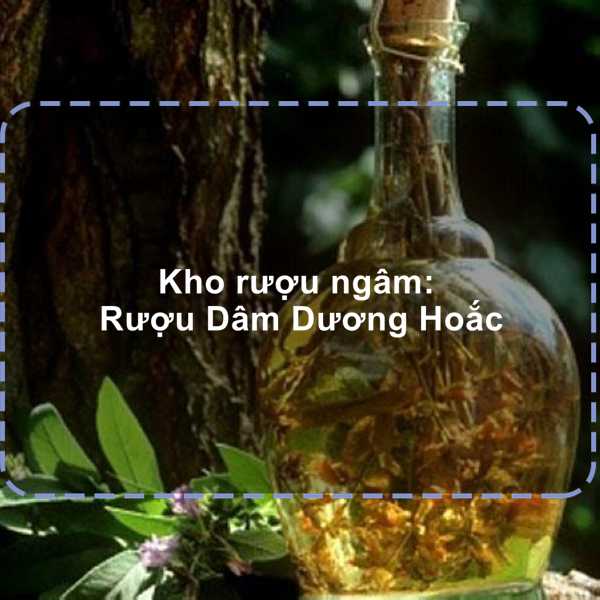 Rượu dâm dương hoắc chữa yếu sinh lý cho nam