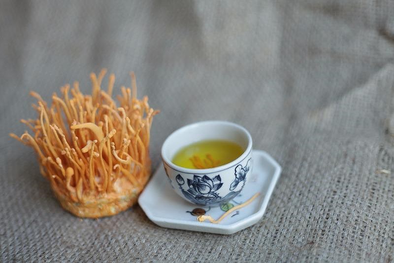 Đông trùng hạ thảo giúp hỗ trợ điều trị bệnh ung thư phổi di căn não Đông trùng hạ thảo giúp hỗ trợ điều trị bệnh ung thư phổi di căn não