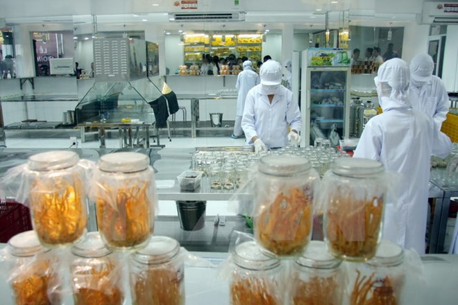 Các sản phẩm trùng thảo tại nước ta đều là sản phẩm nuôi trồng