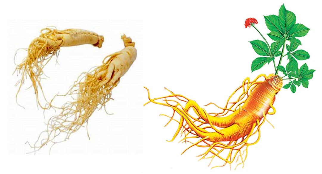điều trị ung thư phổi hiệu quả điều trị ung thư phổi hiệu quả