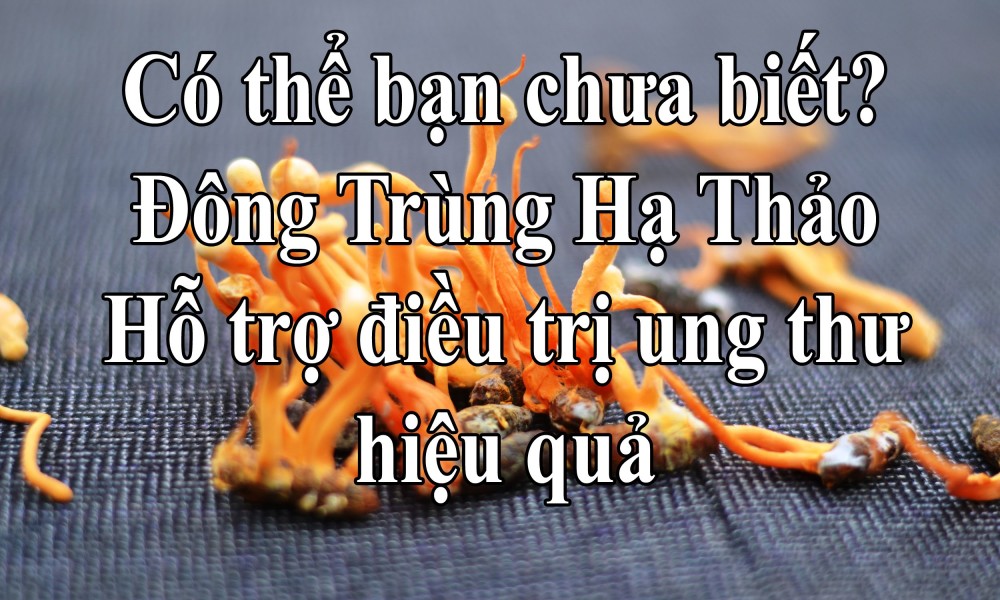 Đông trùng hạ thảo giúp hỗ trợ điều trị ung thư vô cùng hiệu quả